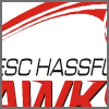 ESC Hassfurt - Vereins-/Stadioninfos